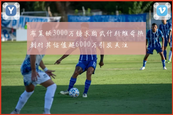 布莱顿3000万镑求购武什科维奇热刺对其估值超6000万引发关注